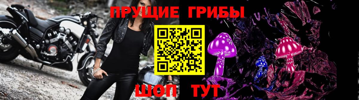 Славянск-на-Кубани  Псилоцибиновые грибы Cubensis  Вход с VPN  Псилоцибиновые грибы мухоморы 